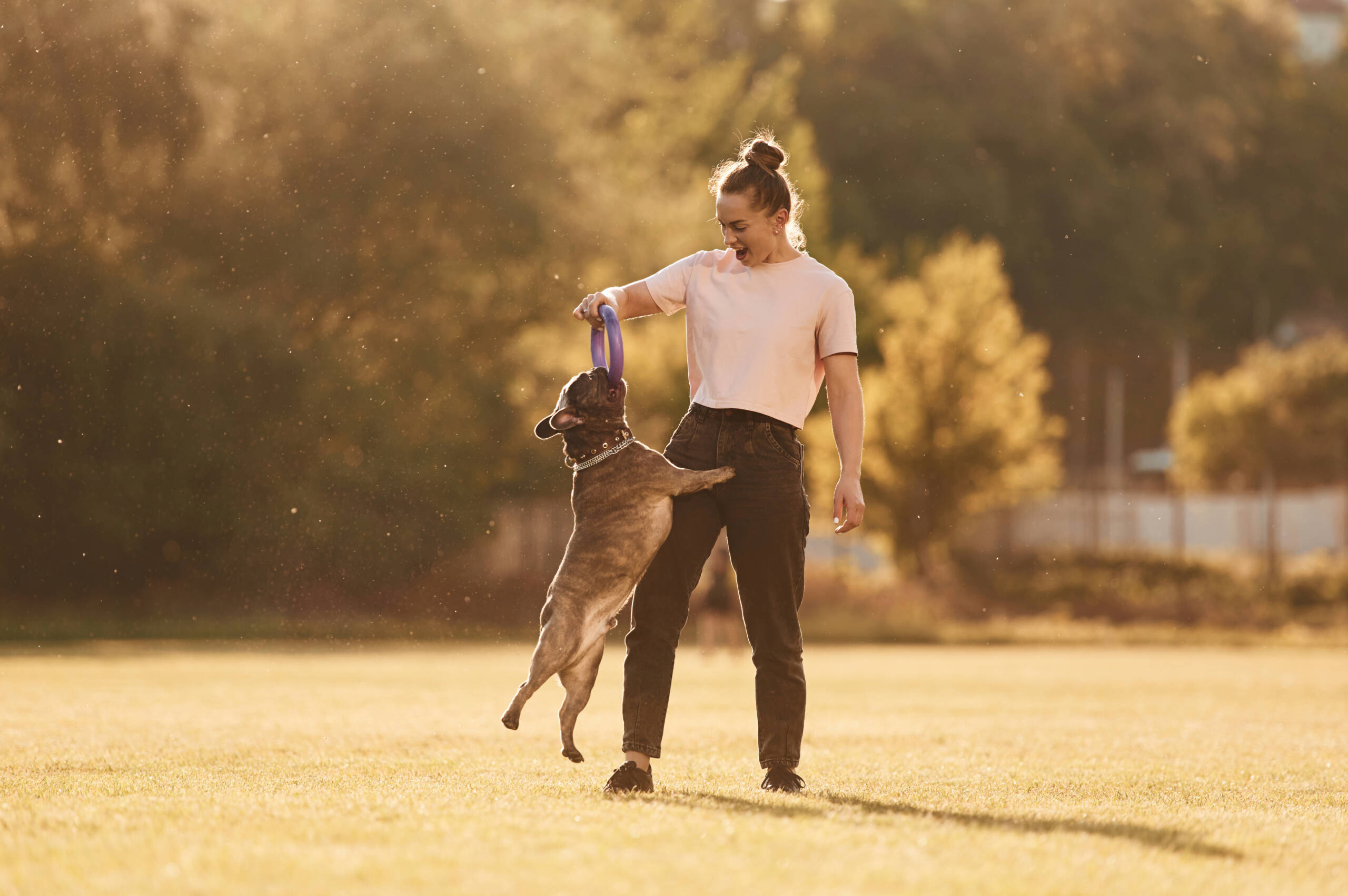 Colpo di calore nel cane e nel gatto: i primi minuti che salvano la vita