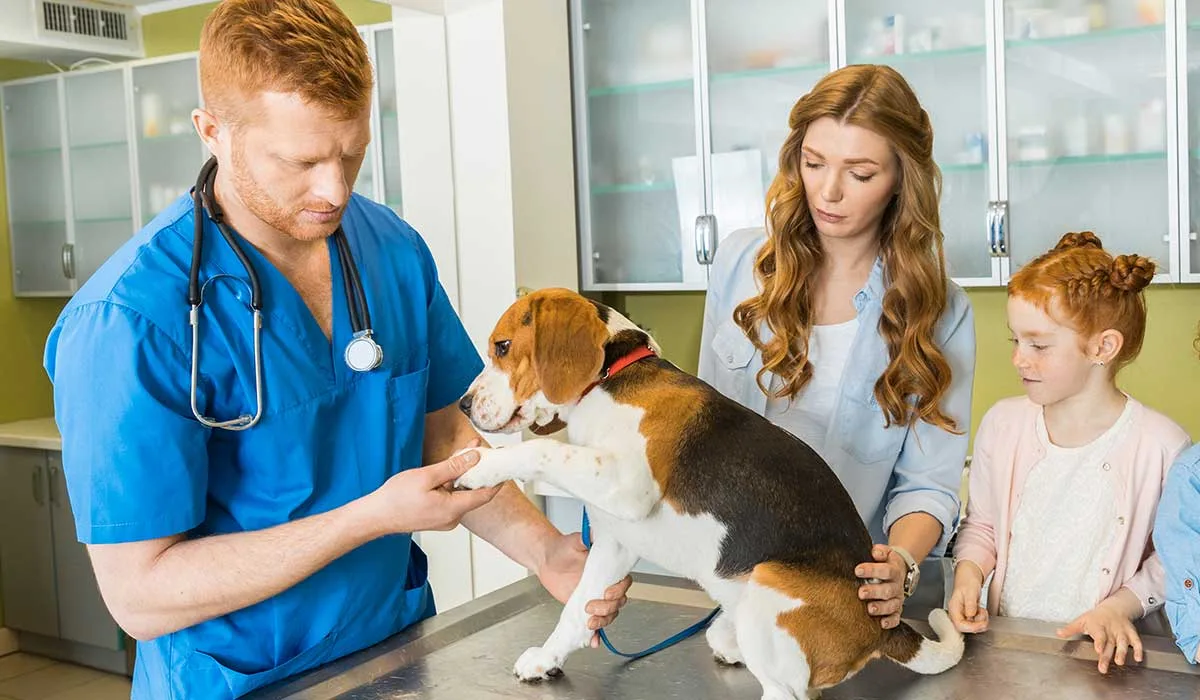 Pet Services